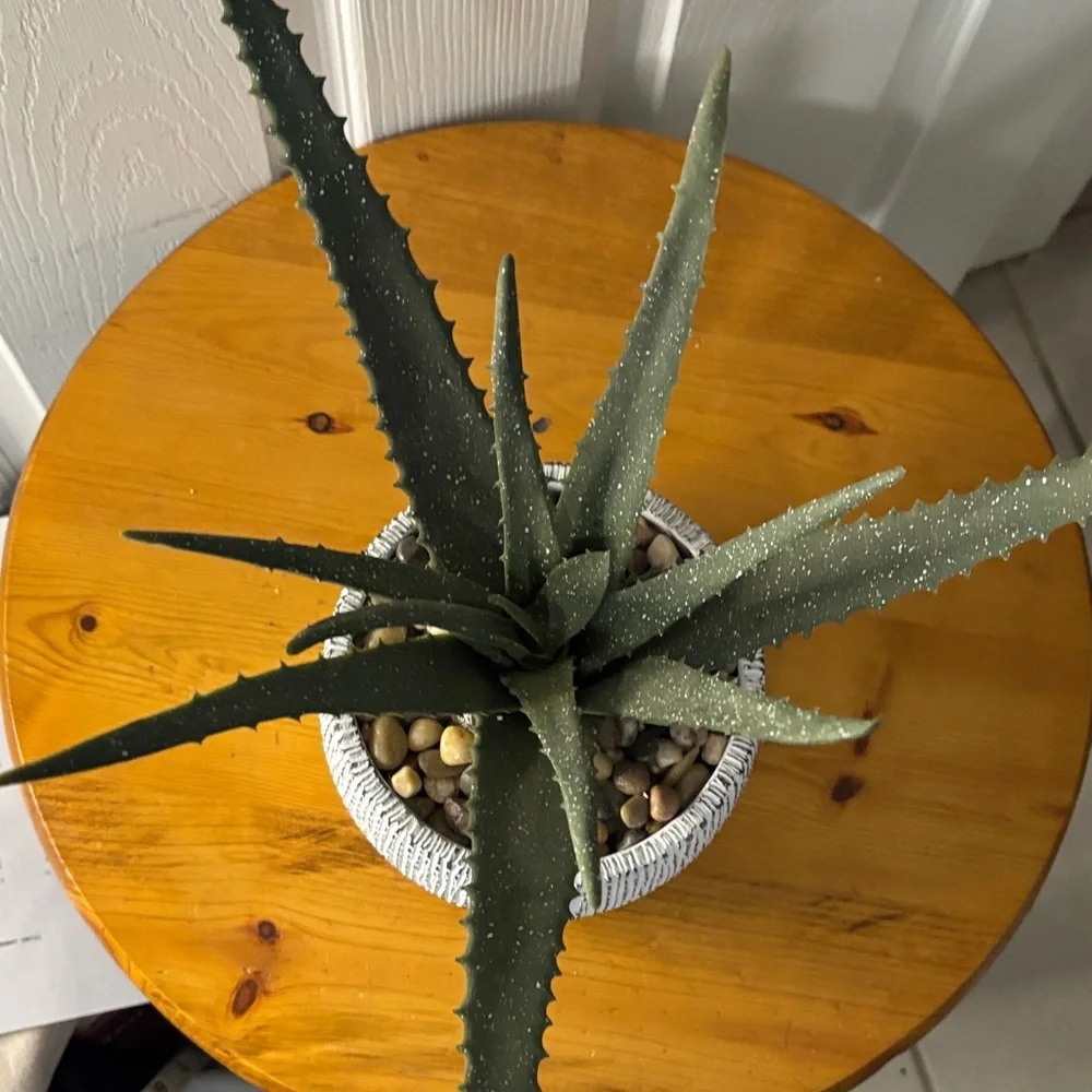 Artificial Aloe Plant in White Woven Clay Pot